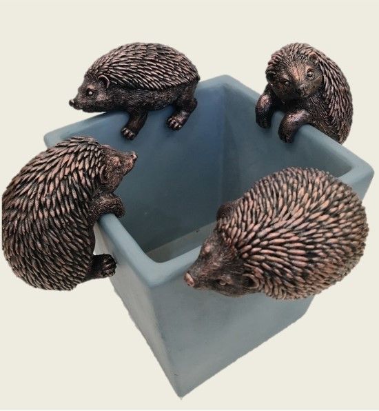 Hedgehog Range